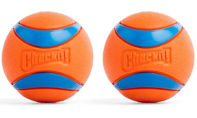 Two dog toy balls