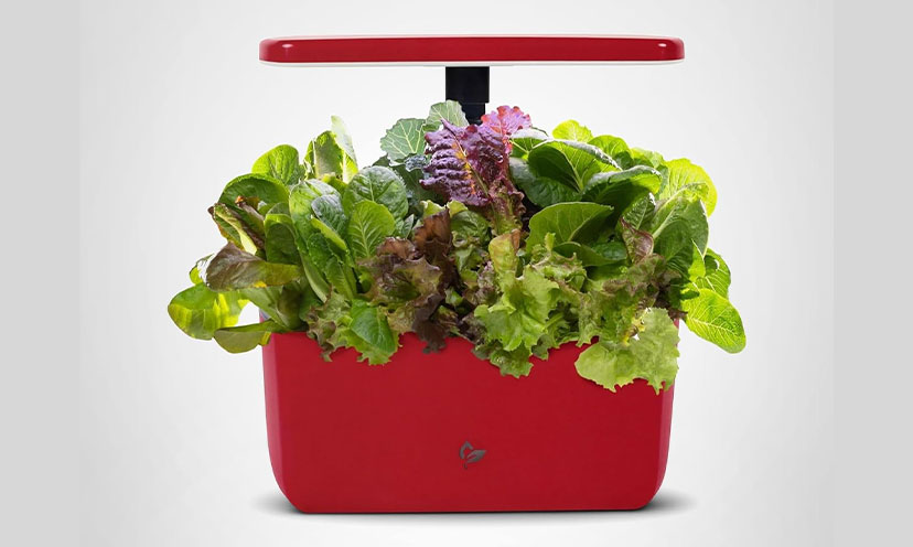 WNW Featured Image for Post