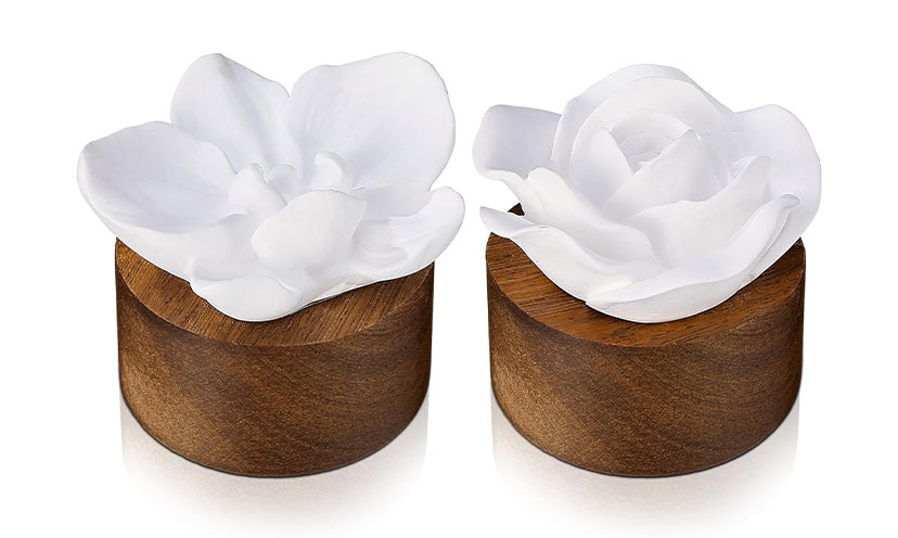 WNW Featured Image for Post