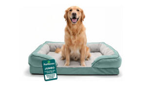 WNW Featured Image for Post